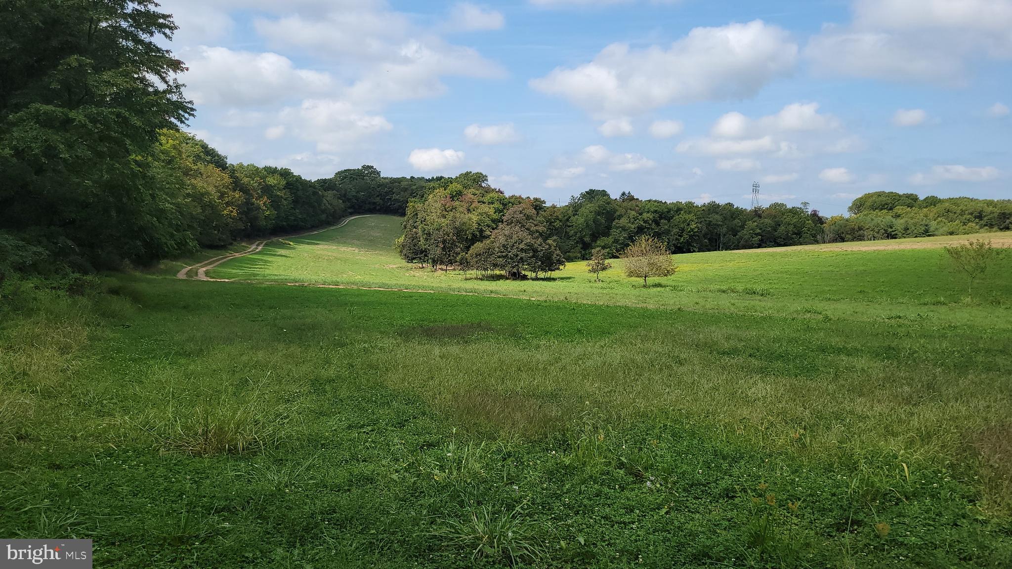 5311 Woodville Road Mount Airy, MD 21771 - Photo 6 of 27 a view of field with green space