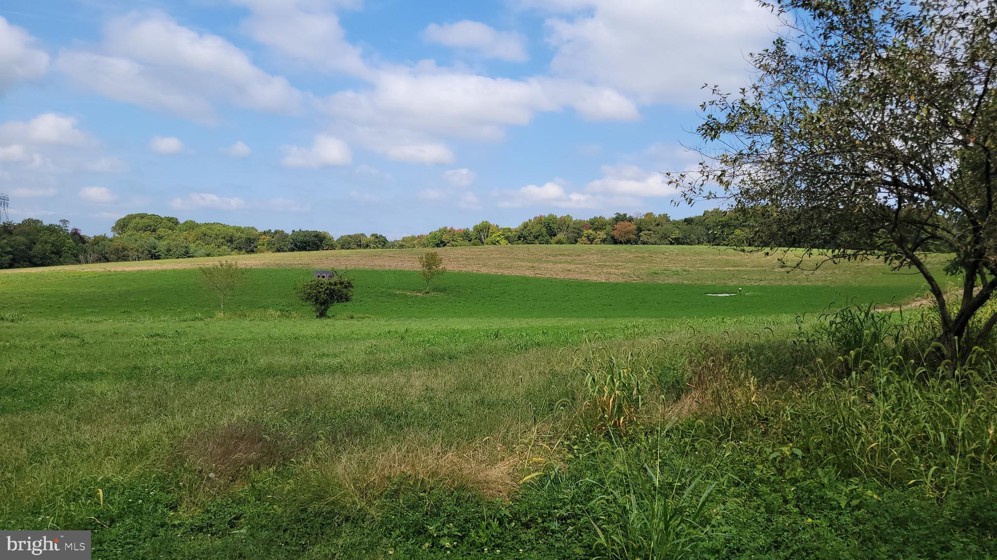 5311 Woodville Road Mount Airy, MD 21771 - Photo 7 of 27 a view of field with green space