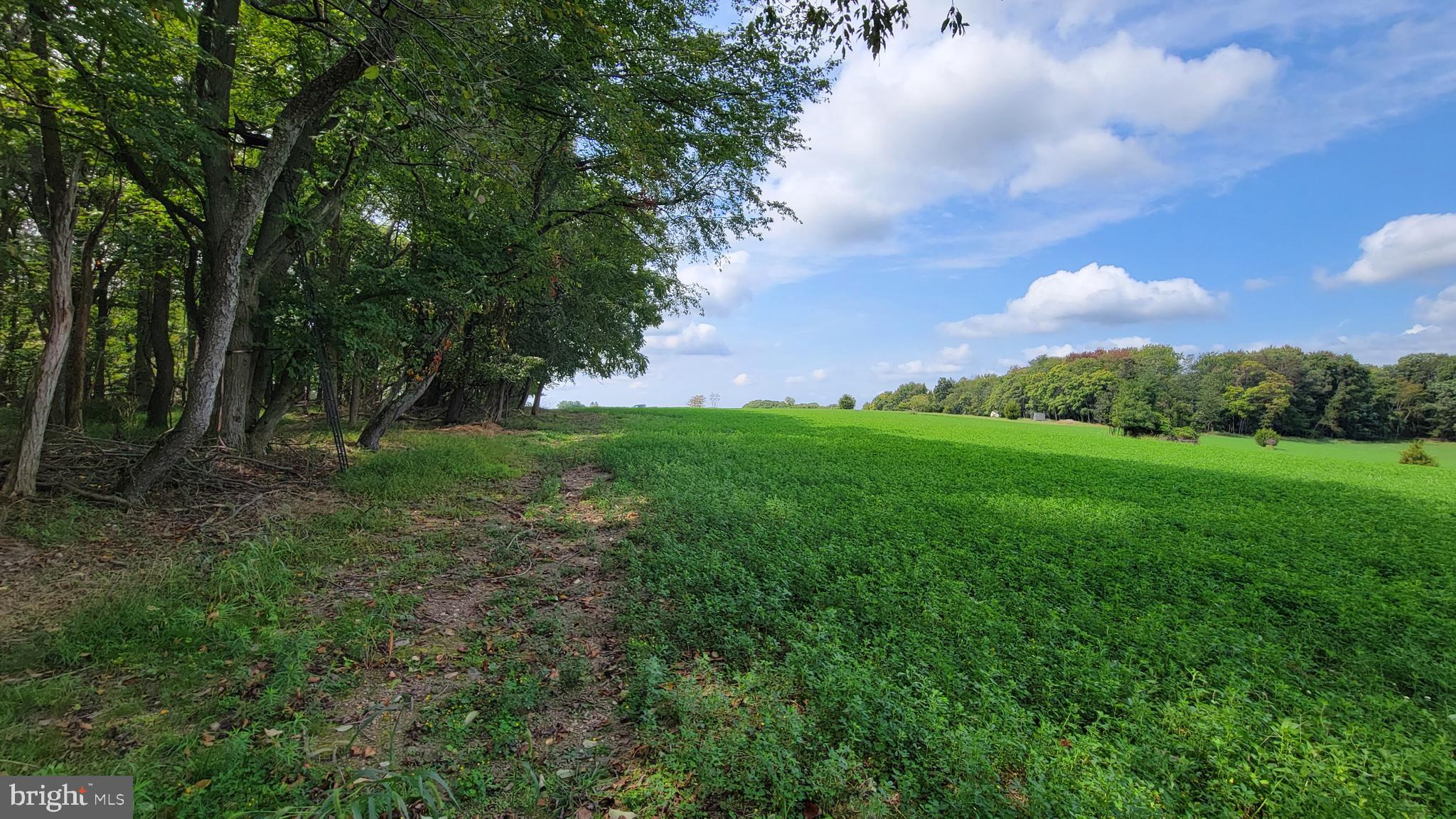 5311 Woodville Road Mount Airy, MD 21771 - Photo 9 of 27 a view of a grassy field with trees around