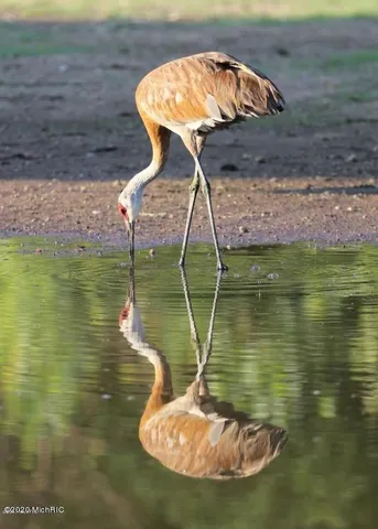 $74,900 | Lot#8 Cedar Creek Drive, Unit 254, Battle Creek, MI 49015