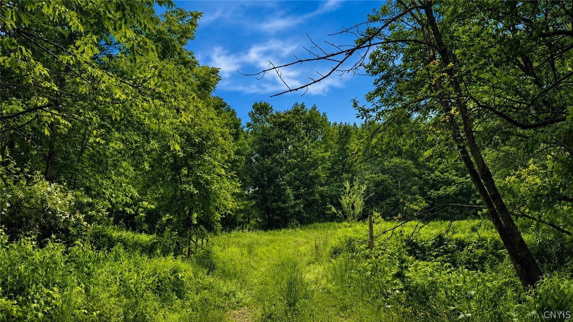 1194 Kerber Road Boonville, NY 13309 - Photo 5 of 5