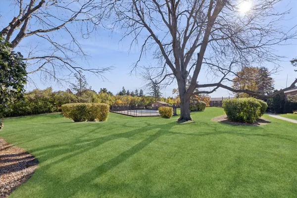 a backyard of a house with plants and large trees