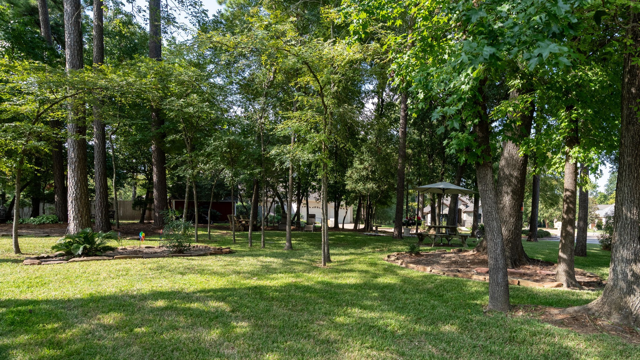 13403 Desert Inn Circle Montgomery, TX 77356 - Photo 6 of 20