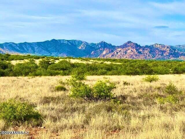 36.10 Acres Street St. David, AZ 85630 - Photo 7 of 21