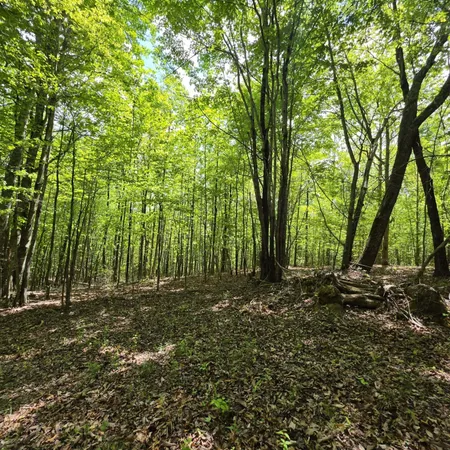 $149,000 | Lot 15 Cluck Cove Road, South Pittsburg, TN 37380