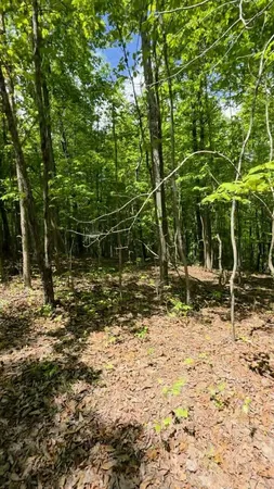 $149,000 | Lot 15 Cluck Cove Road, South Pittsburg, TN 37380