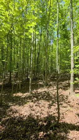 $149,000 | Lot 15 Cluck Cove Road, South Pittsburg, TN 37380