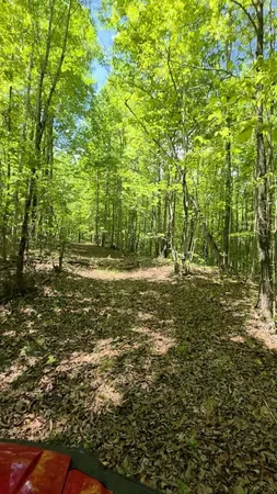$149,000 | Lot 15 Cluck Cove Road, South Pittsburg, TN 37380