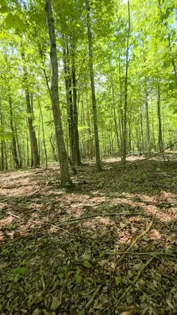 $149,000 | Lot 15 Cluck Cove Road, South Pittsburg, TN 37380