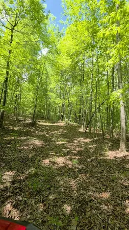 $149,000 | Lot 15 Cluck Cove Road, South Pittsburg, TN 37380
