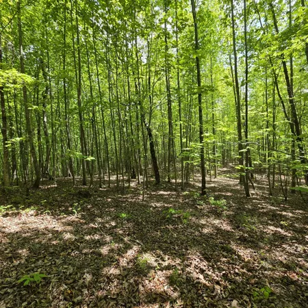 $149,000 | Lot 15 Cluck Cove Road, South Pittsburg, TN 37380