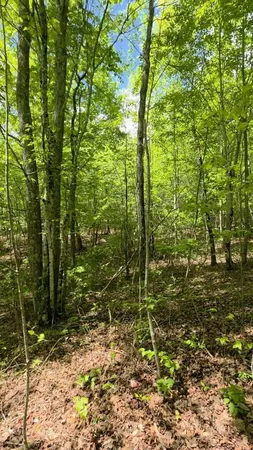 $149,000 | Lot 15 Cluck Cove Road, South Pittsburg, TN 37380