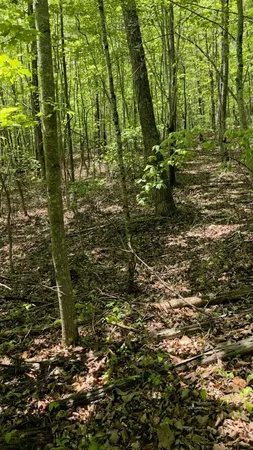 $149,000 | Lot 15 Cluck Cove Road, South Pittsburg, TN 37380