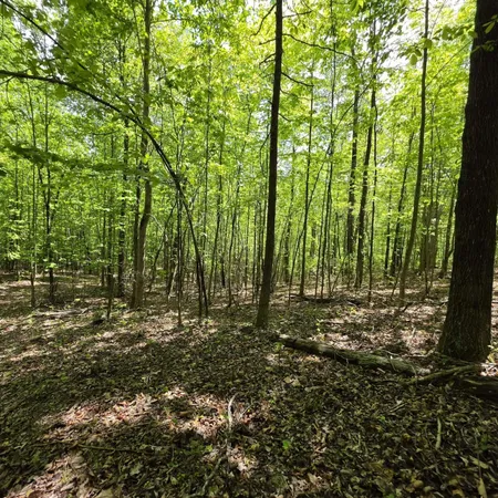 $149,000 | Lot 15 Cluck Cove Road, South Pittsburg, TN 37380