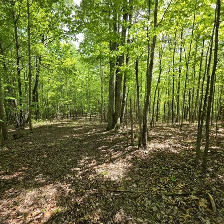 $149,000 | Lot 15 Cluck Cove Road, South Pittsburg, TN 37380