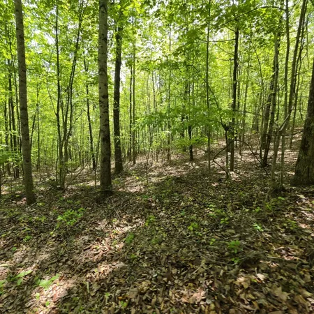 $149,000 | Lot 15 Cluck Cove Road, South Pittsburg, TN 37380