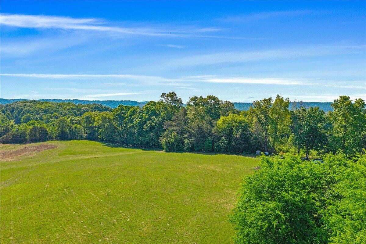 3342 River Road Decatur, TN 37322 - Photo 21 of 34 Gallery Image 21