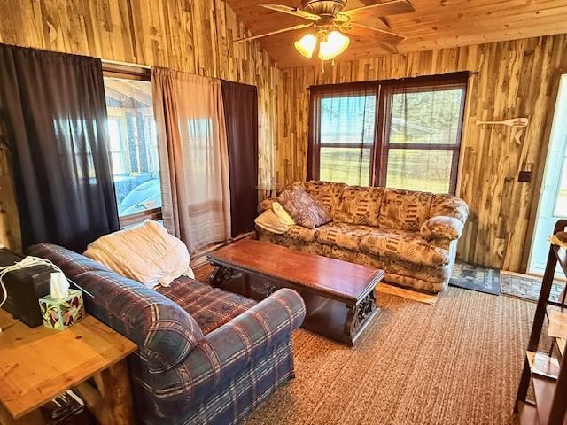 20763 Joas Beach Road Northeast Kelliher, MN 56650 - Photo 14 of 16