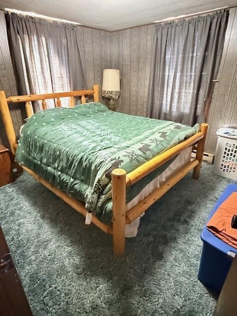 20763 Joas Beach Road Northeast Kelliher, MN 56650 - Photo 10 of 16