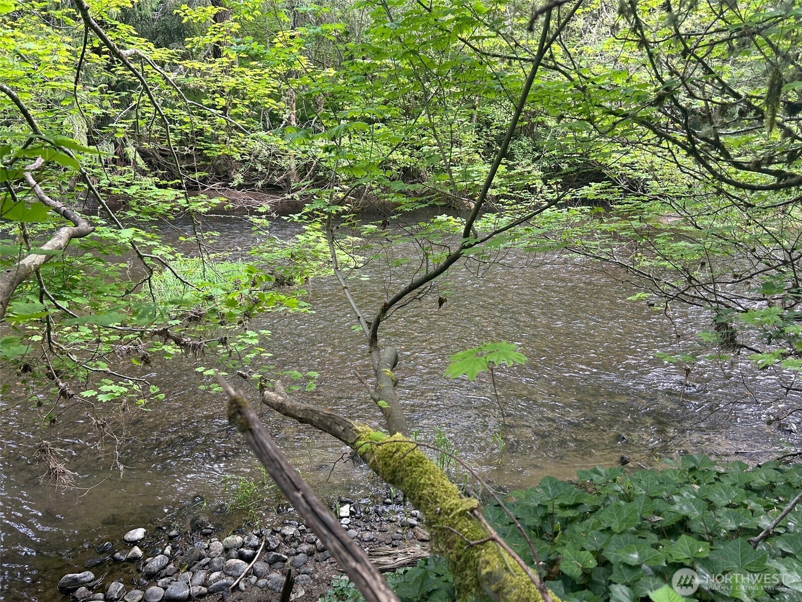 16037 Vail Loop Road Southeast Rainier, WA 98576 - Photo 28 of 32 a backyard of a house with lots of green space