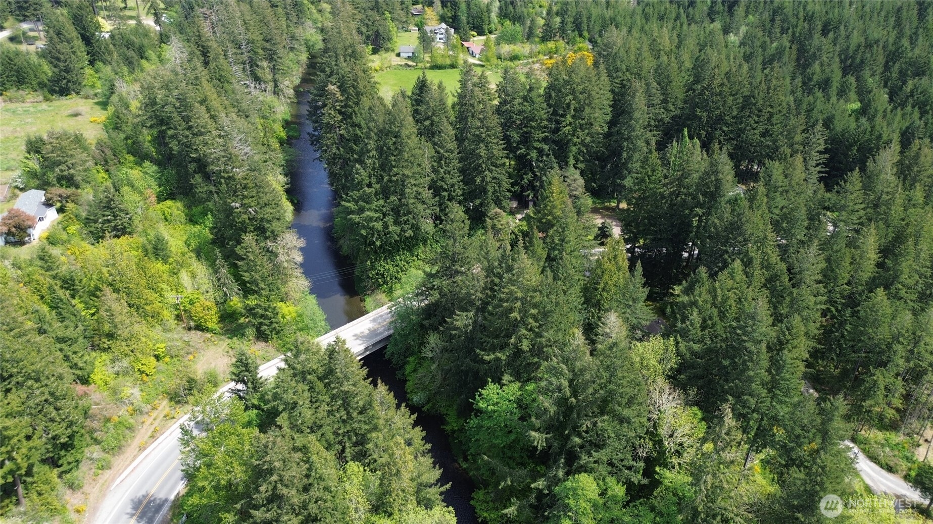 16037 Vail Loop Road Southeast Rainier, WA 98576 - Photo 31 of 32 a view of a lush green forest with trees and houses