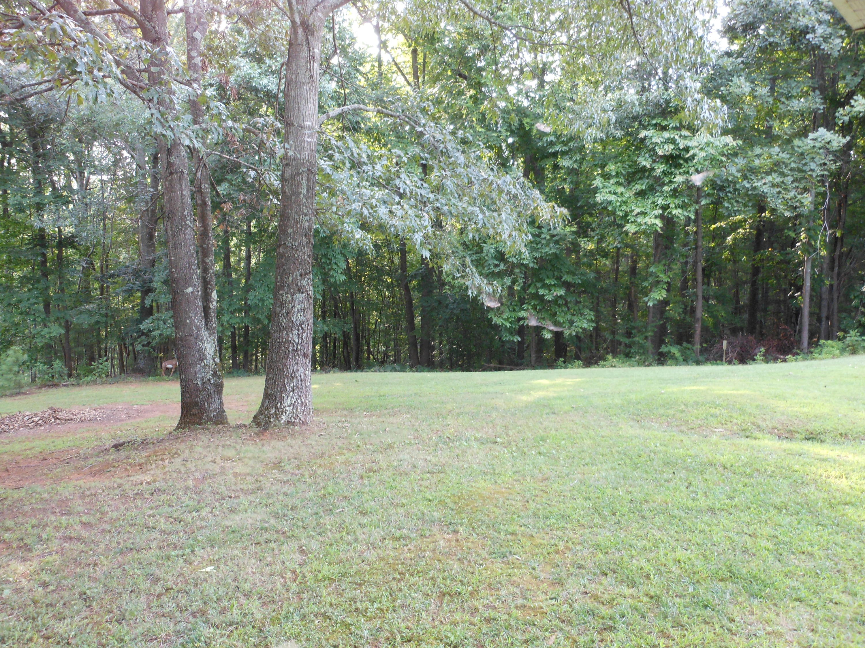 4019 Goodview Road Goodview, VA 24095 - Photo 13 of 47 a view of backyard with green space