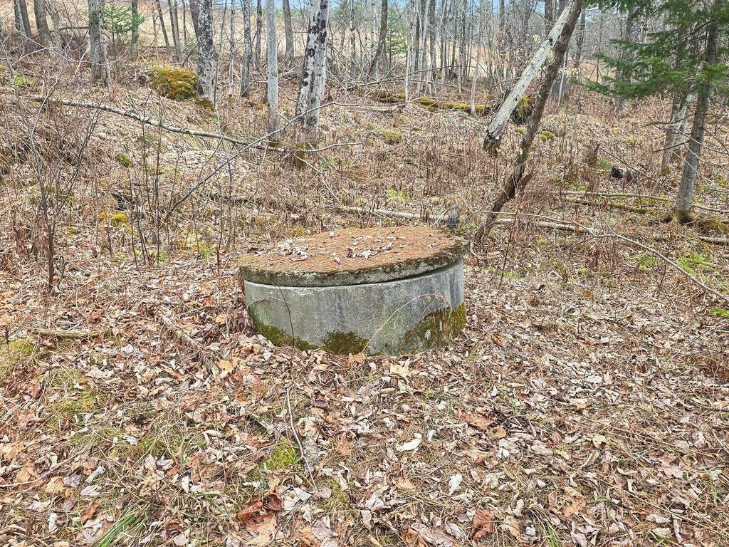 68 Ansley Road Piermont, NH 03779 - Photo 9 of 15