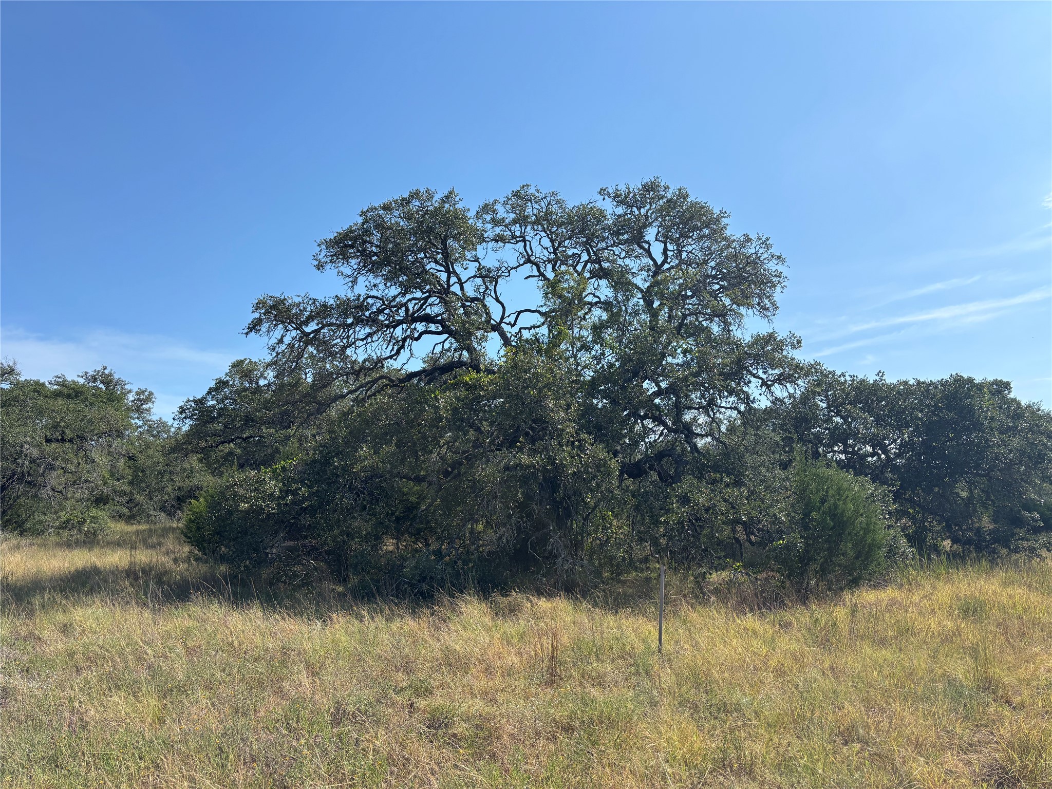 955 Upper Balcones Road Boerne, TX 78006 - Photo 5 of 9 Gallery Image 5