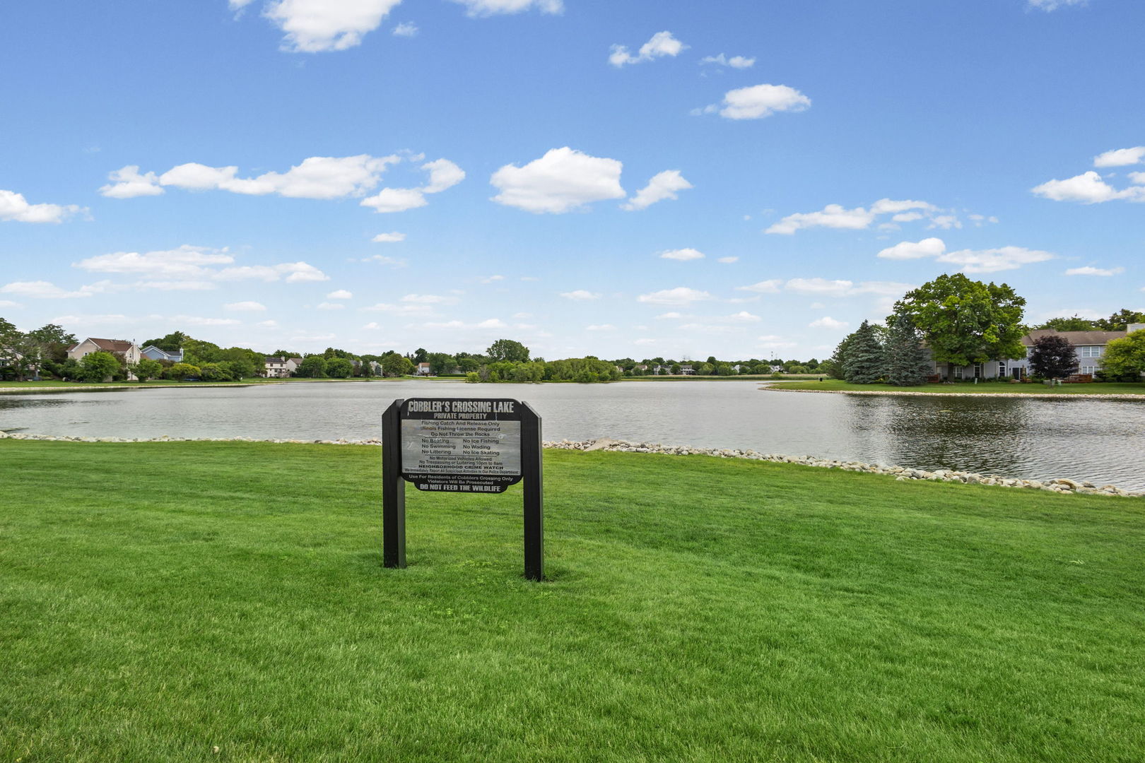 754 Ripple Brook Lane Elgin, IL 60120 - Photo 32 of 41