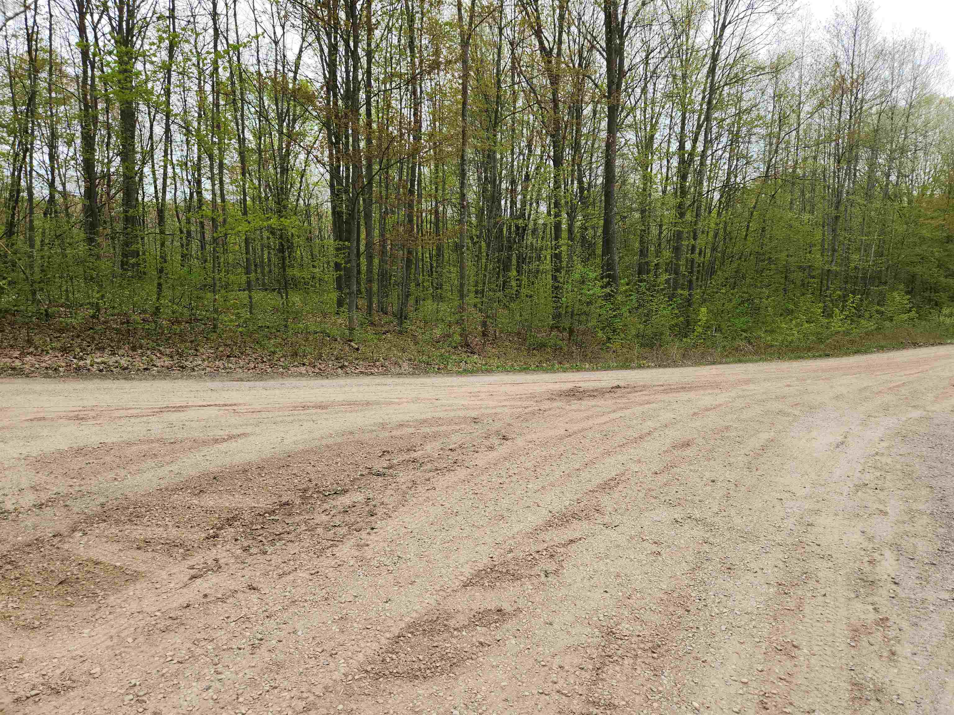 Lot 20 Heather Ridge Trail Beulah, MI 49617 - Photo 1 of 12