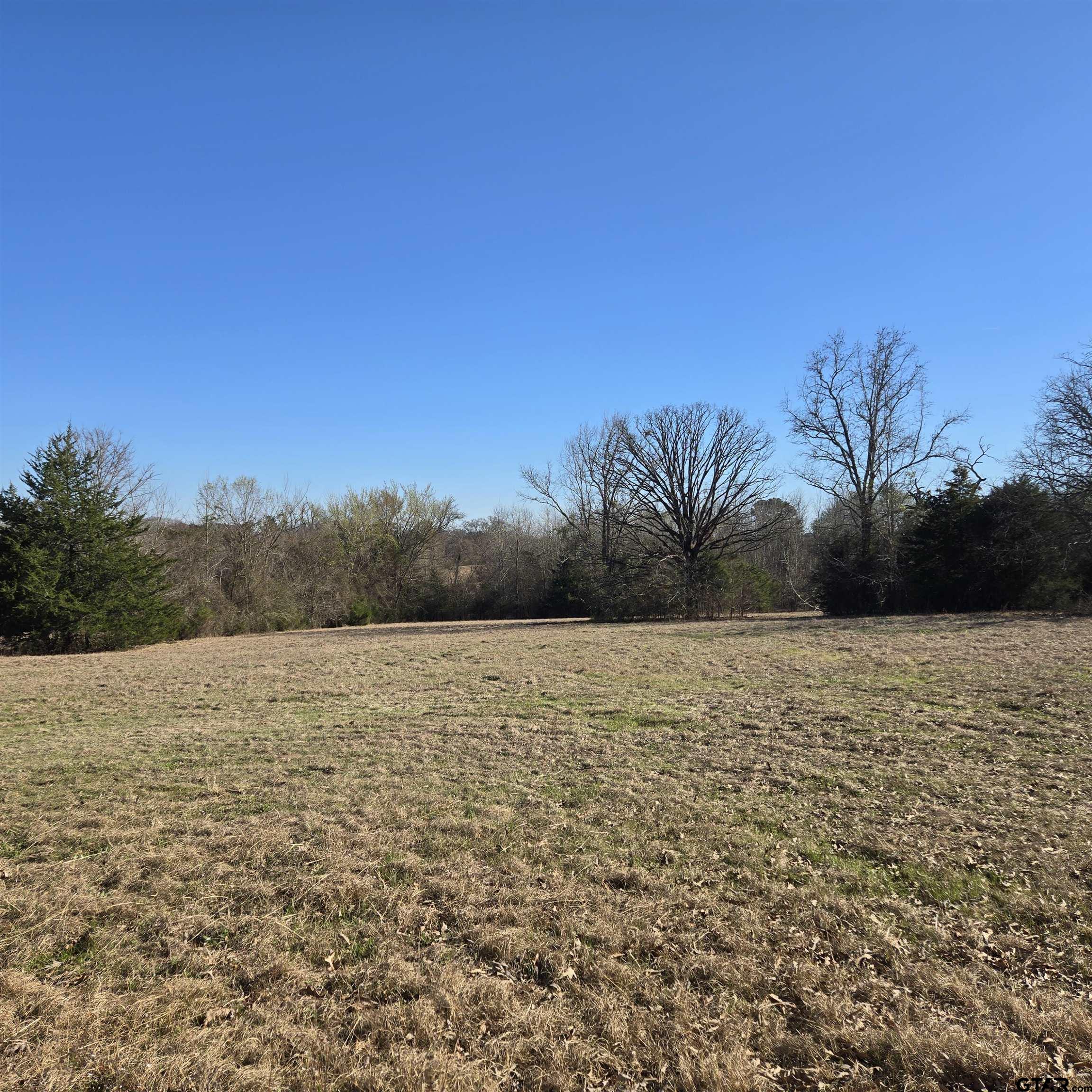 1106 County Road 1106 Flint, TX 75762 - Photo 11 of 15