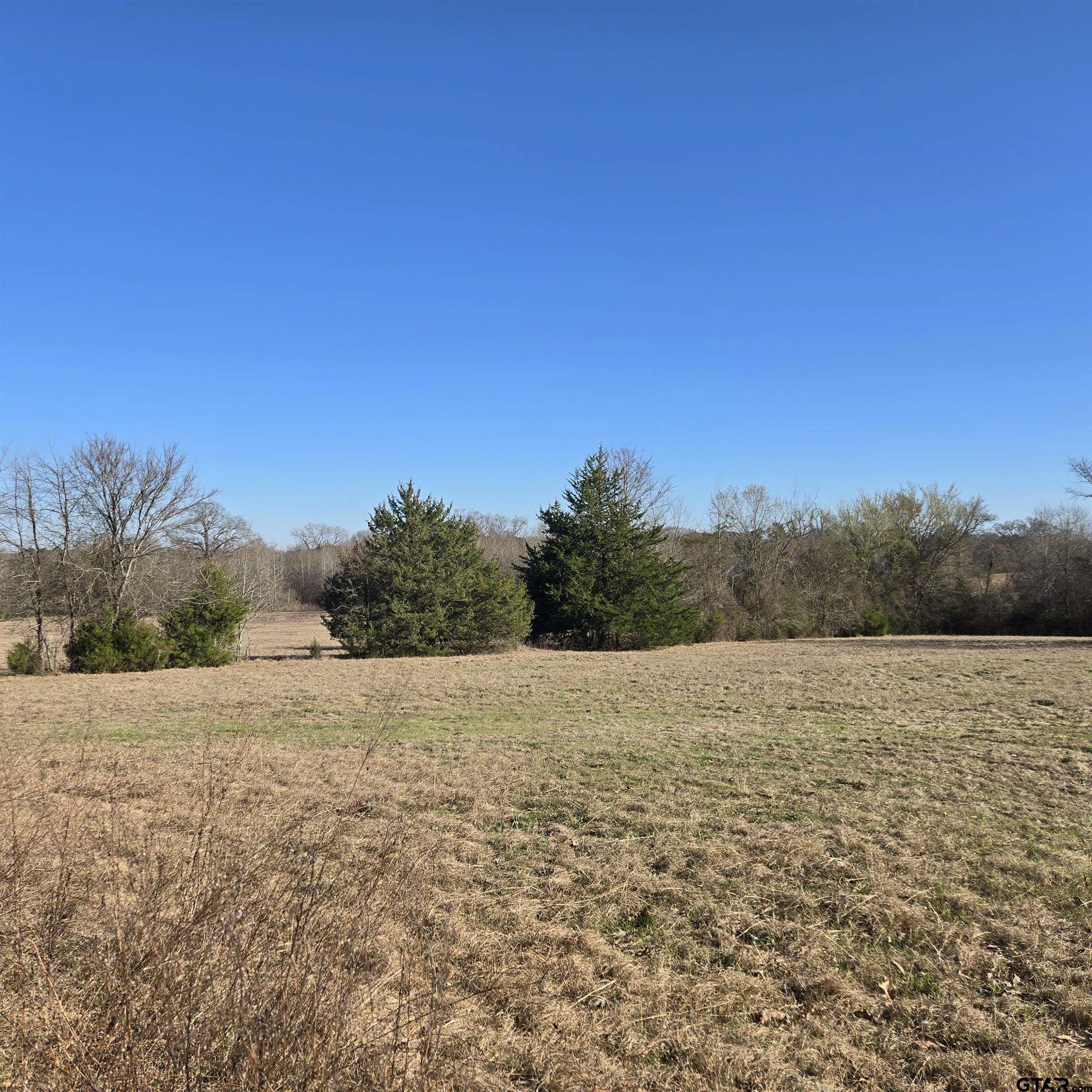 1106 County Road 1106 Flint, TX 75762 - Photo 12 of 15