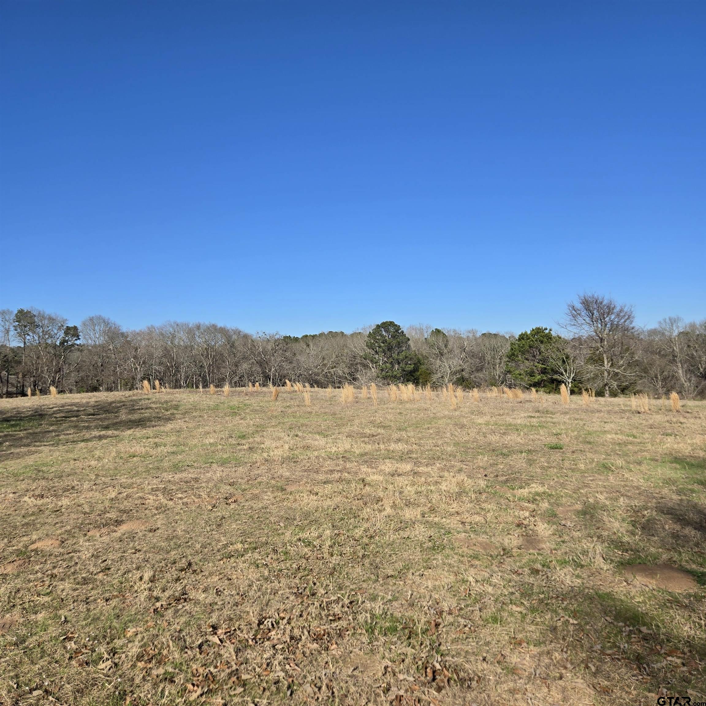 1106 County Road 1106 Flint, TX 75762 - Photo 13 of 15