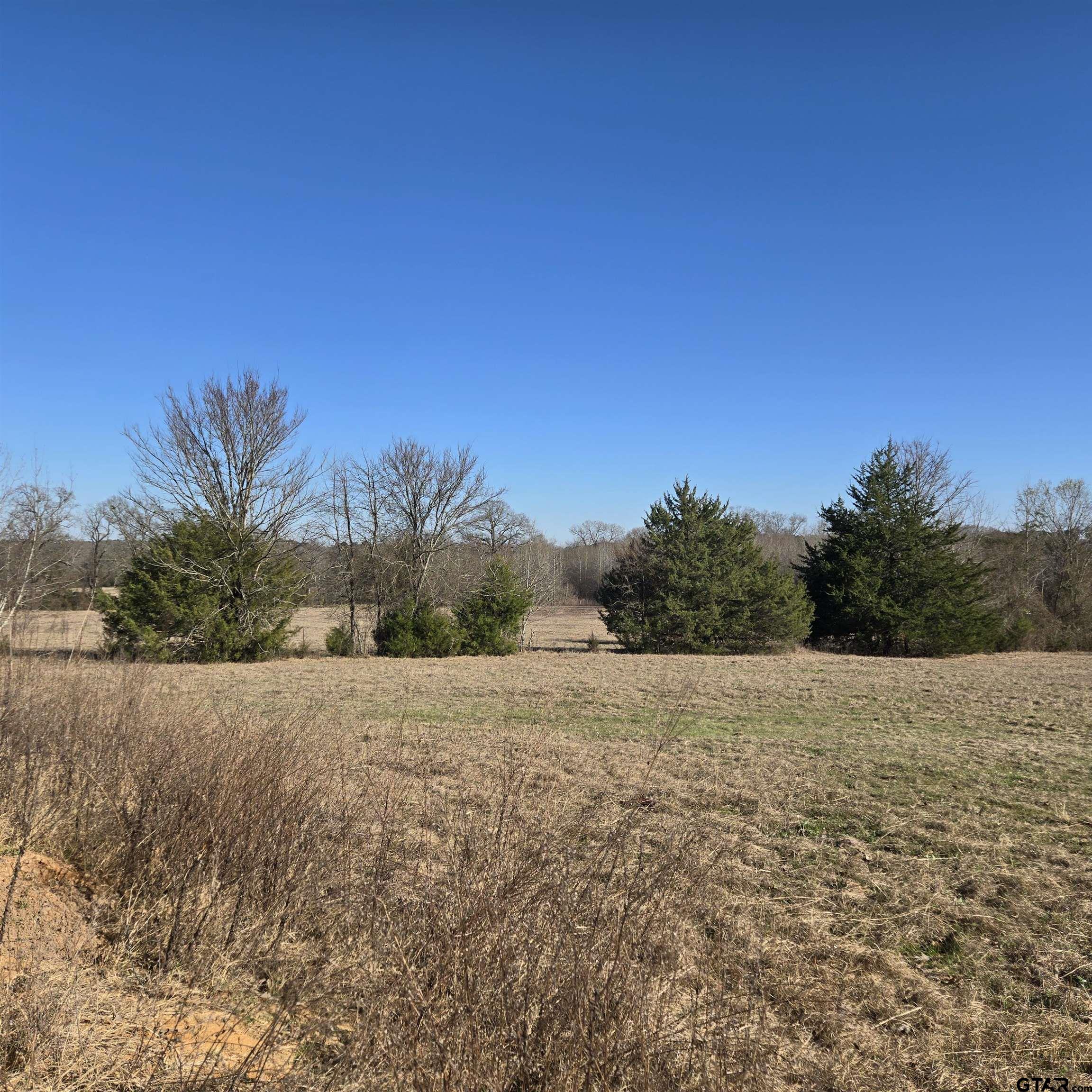 1106 County Road 1106 Flint, TX 75762 - Photo 14 of 15