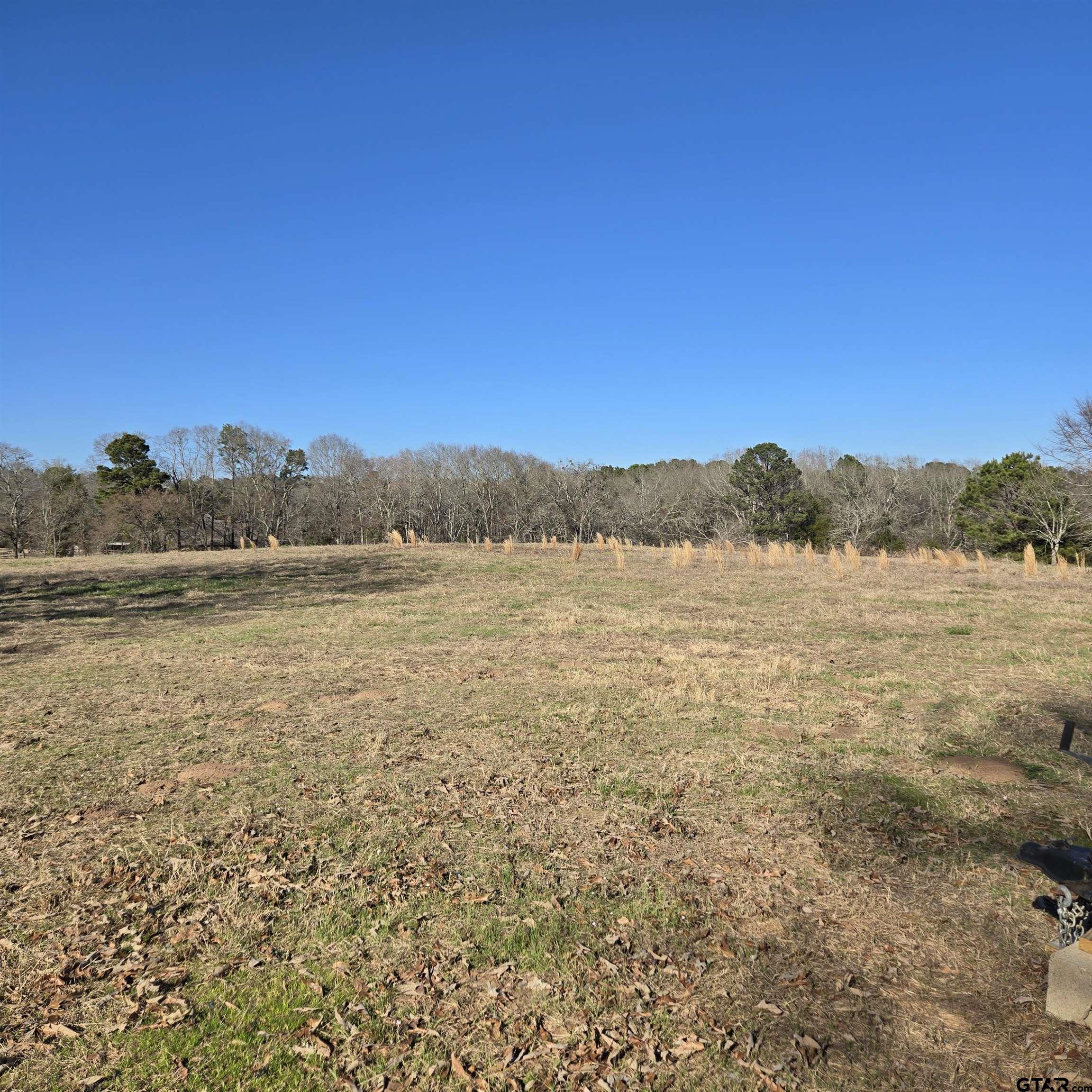 1106 County Road 1106 Flint, TX 75762 - Photo 15 of 15