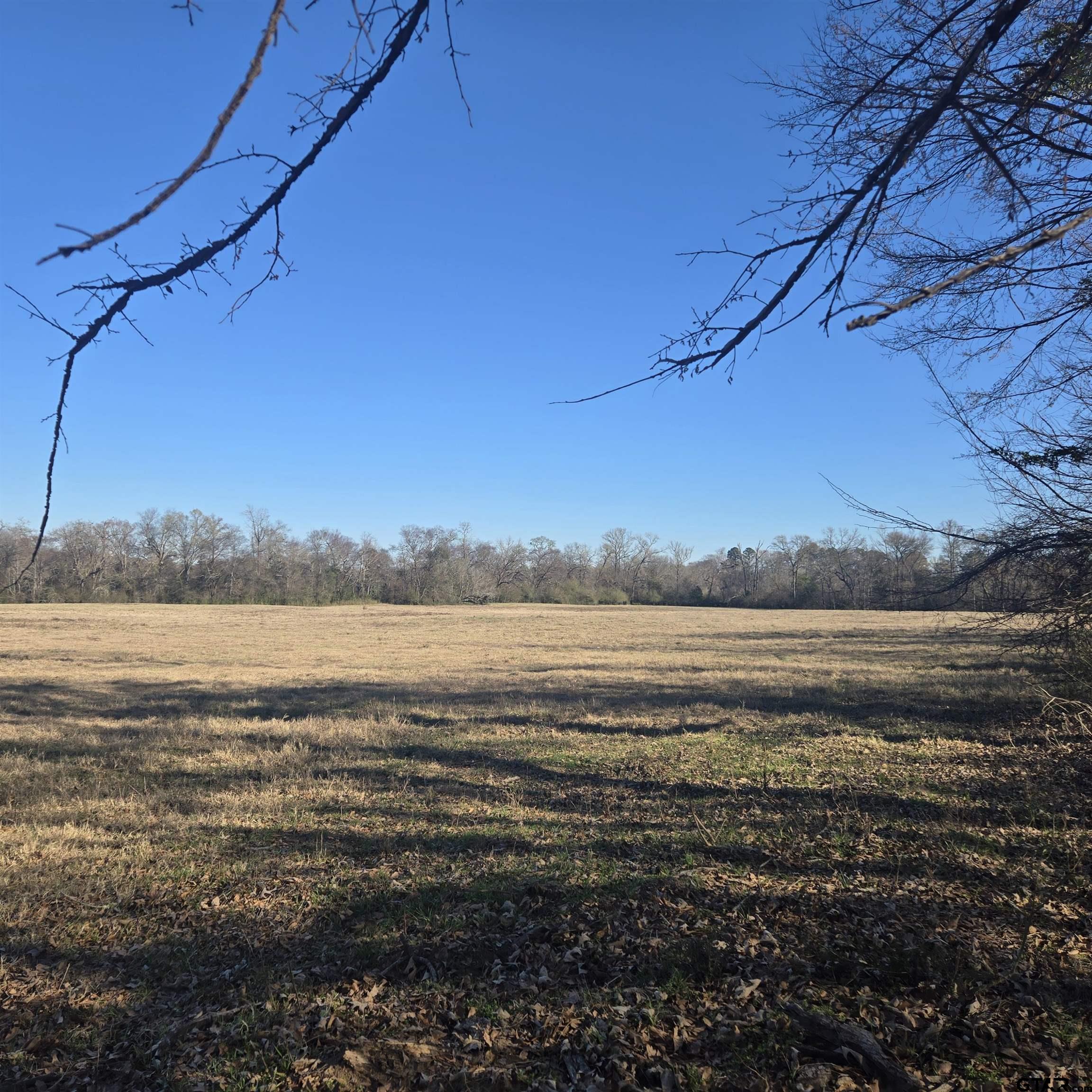 1106 County Road 1106 Flint, TX 75762 - Photo 4 of 15