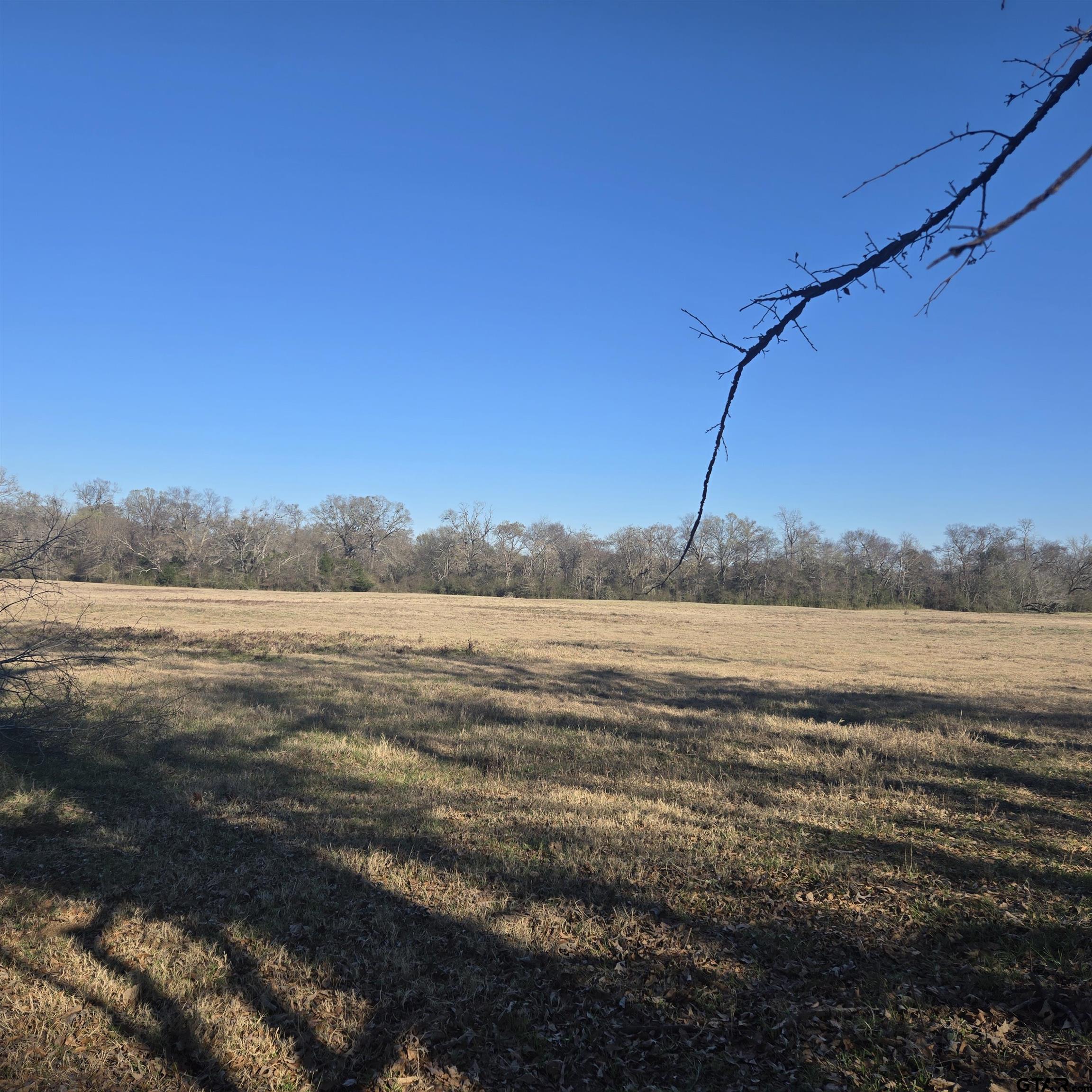 1106 County Road 1106 Flint, TX 75762 - Photo 5 of 15