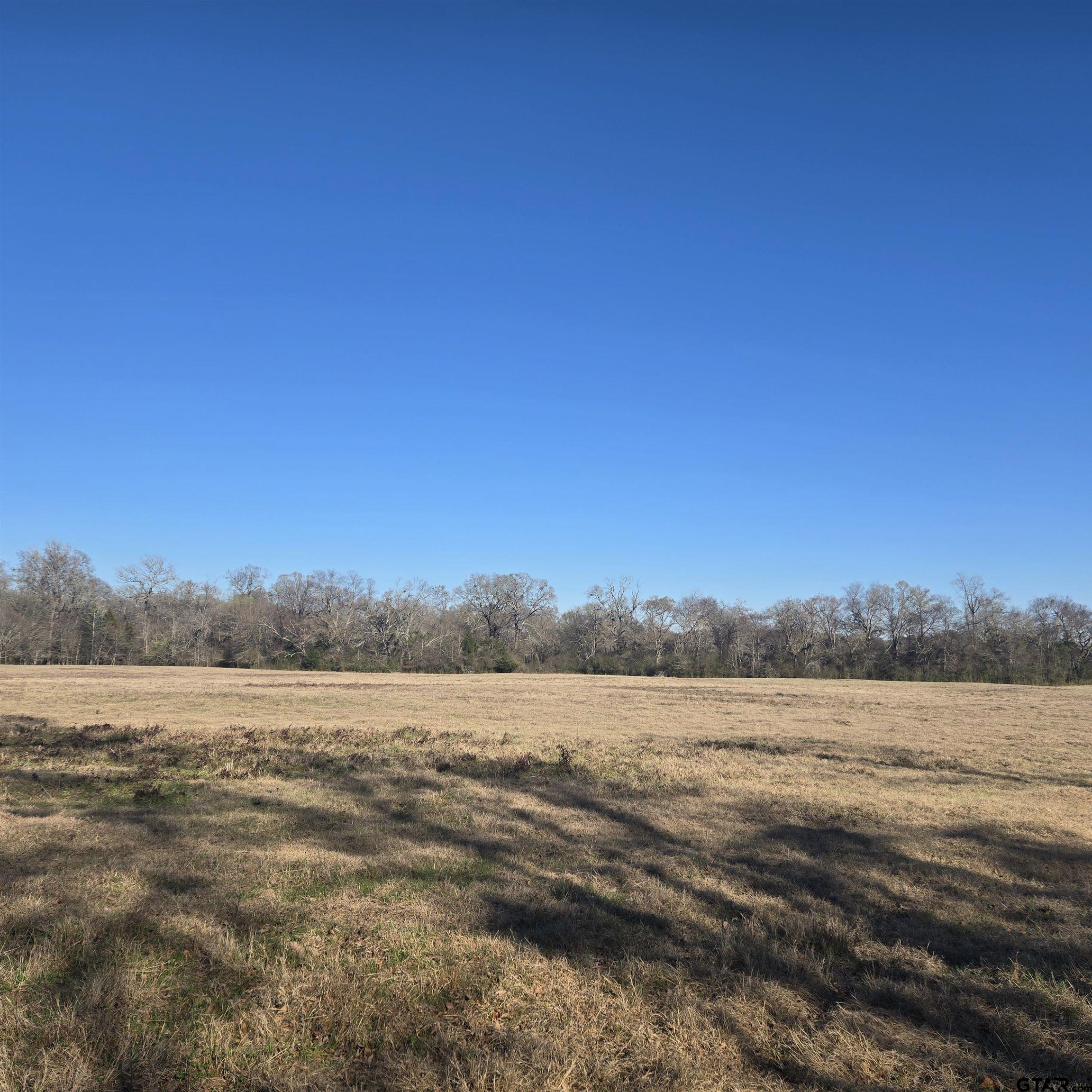 1106 County Road 1106 Flint, TX 75762 - Photo 6 of 15