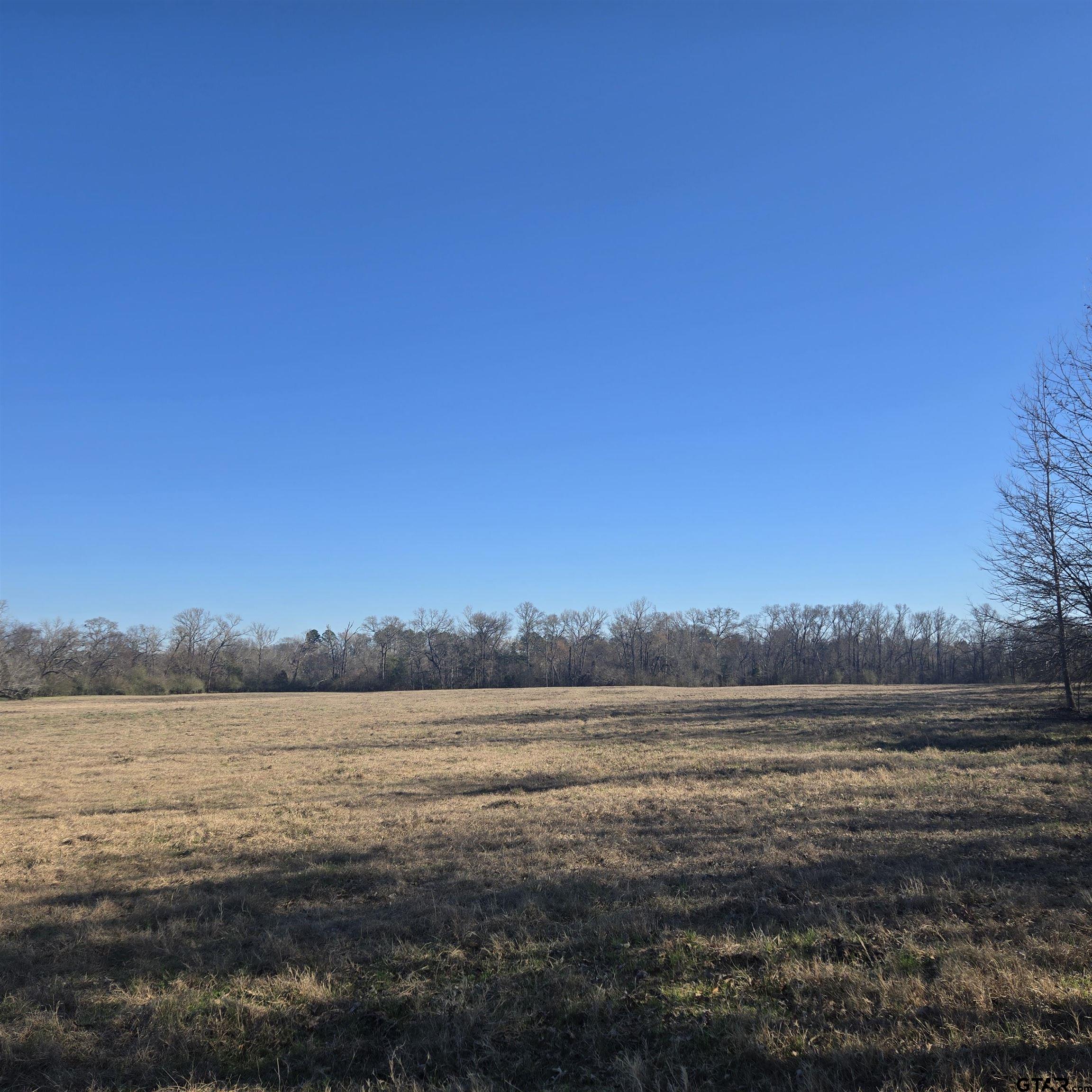 1106 County Road 1106 Flint, TX 75762 - Photo 7 of 15
