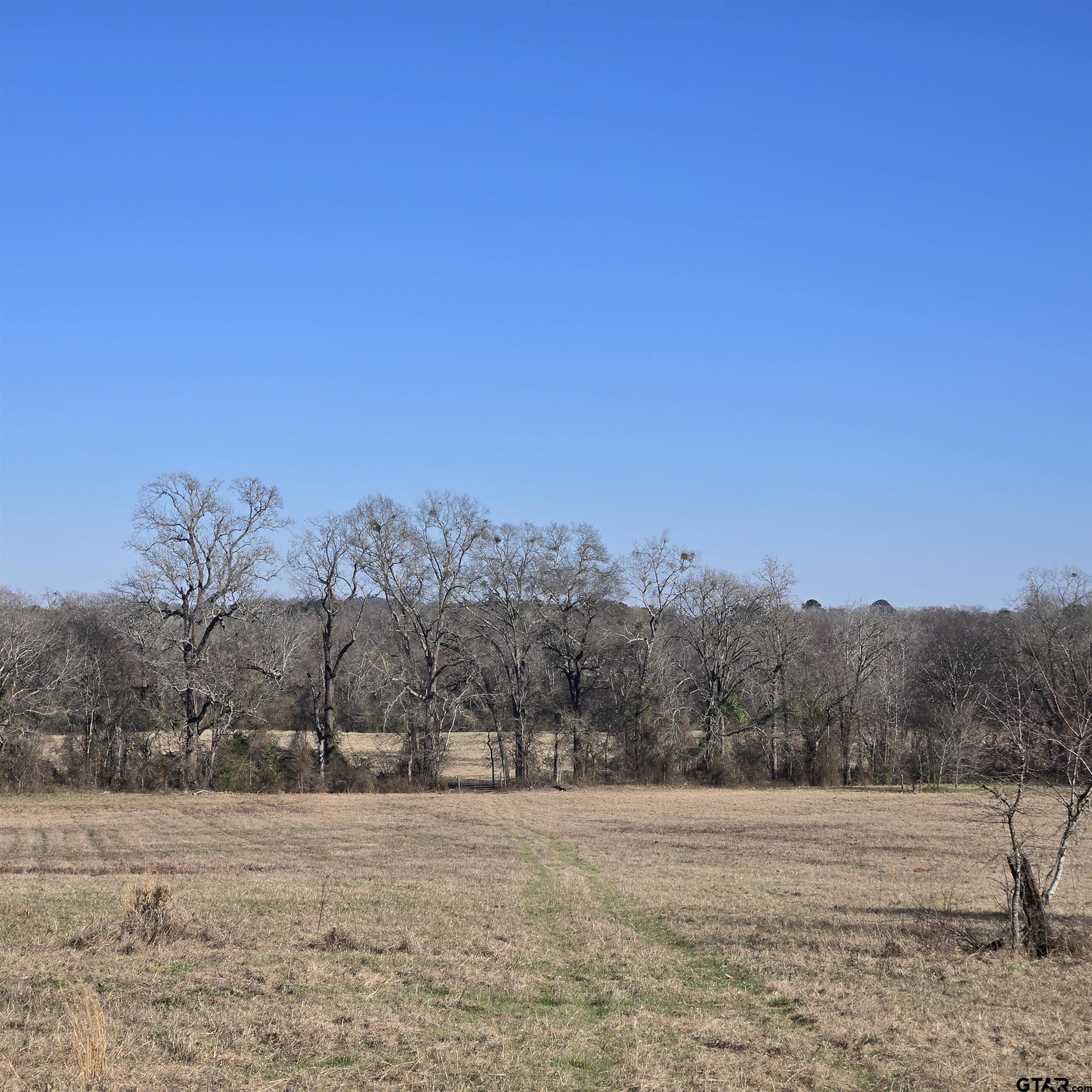 1106 County Road 1106 Flint, TX 75762 - Photo 8 of 15
