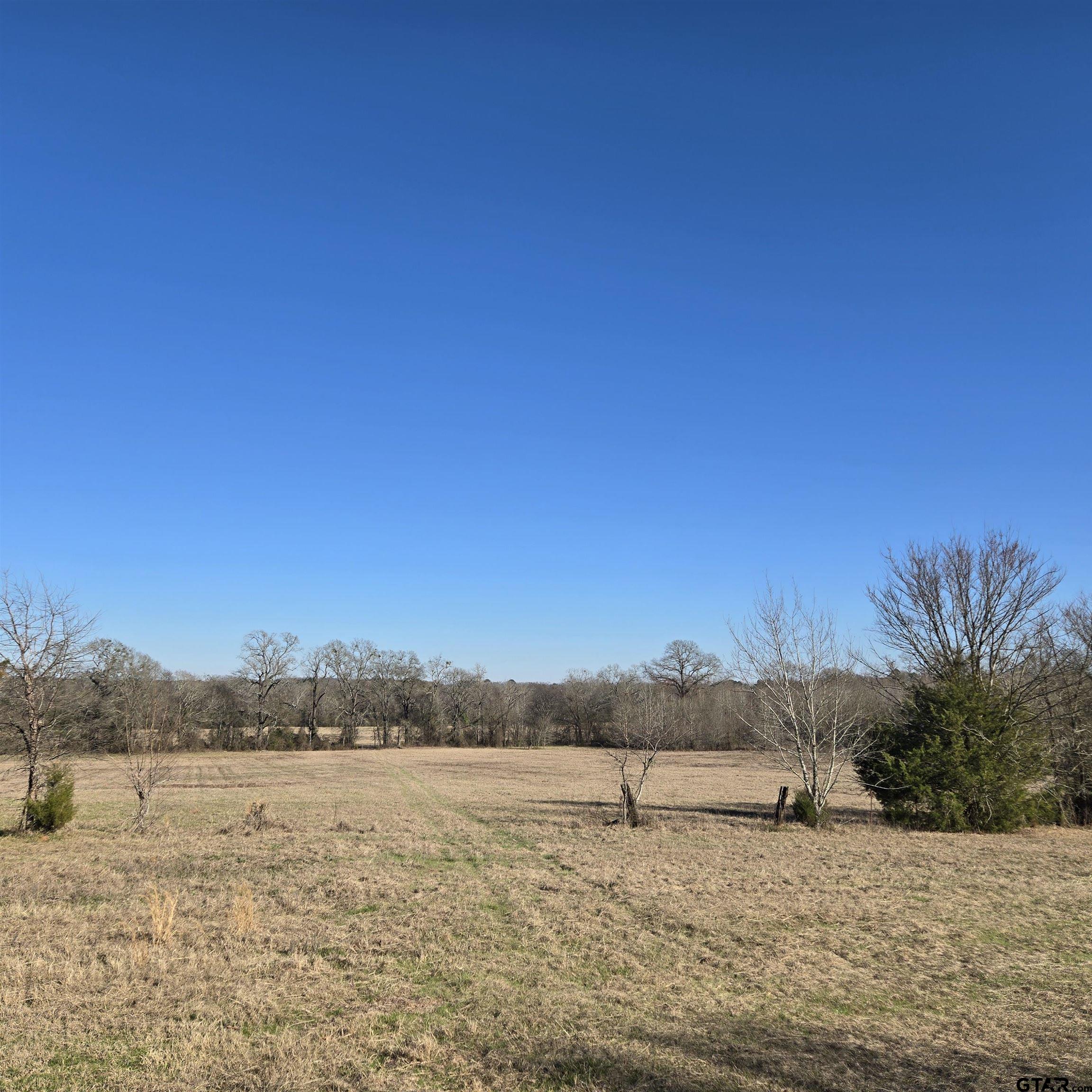 1106 County Road 1106 Flint, TX 75762 - Photo 9 of 15
