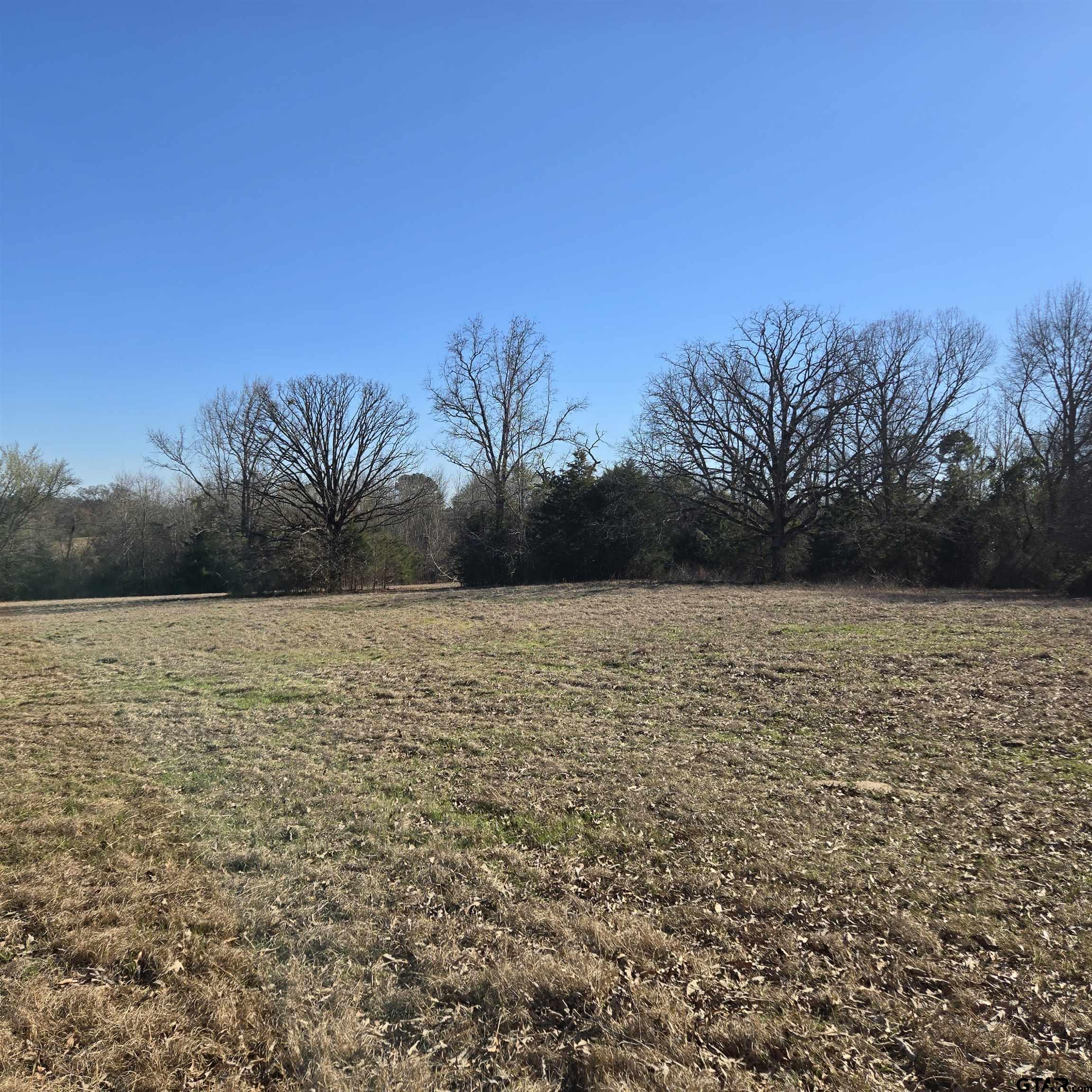 1106 County Road 1106 Flint, TX 75762 - Photo 10 of 15