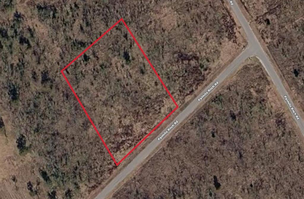 Lot 26 Palmito Rnch Road Corsicana, TX 75110 - Photo 4 of 8