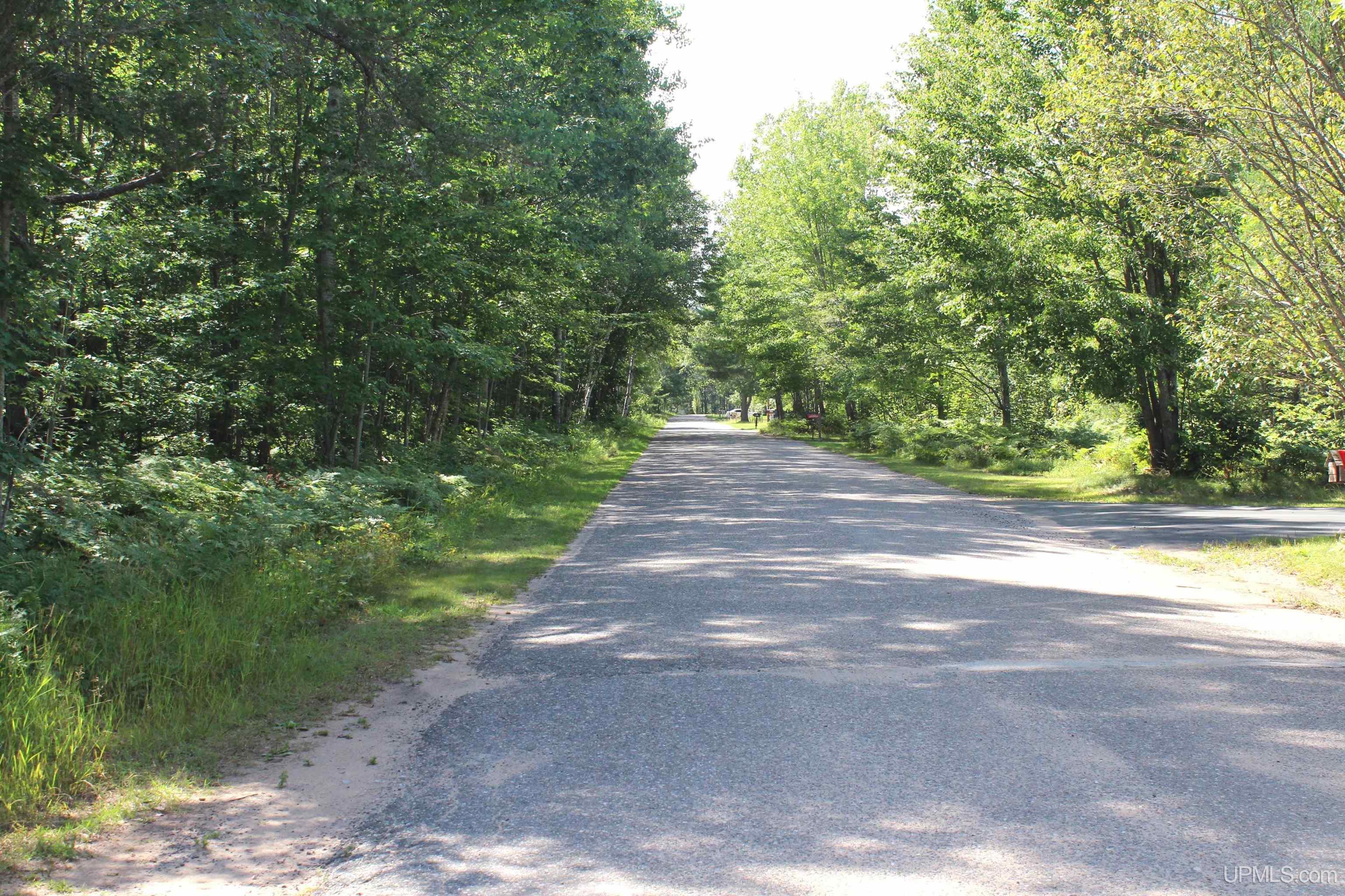 On South Bertrand Lake Road Gwinn, MI 49841 - Photo 17 of 20