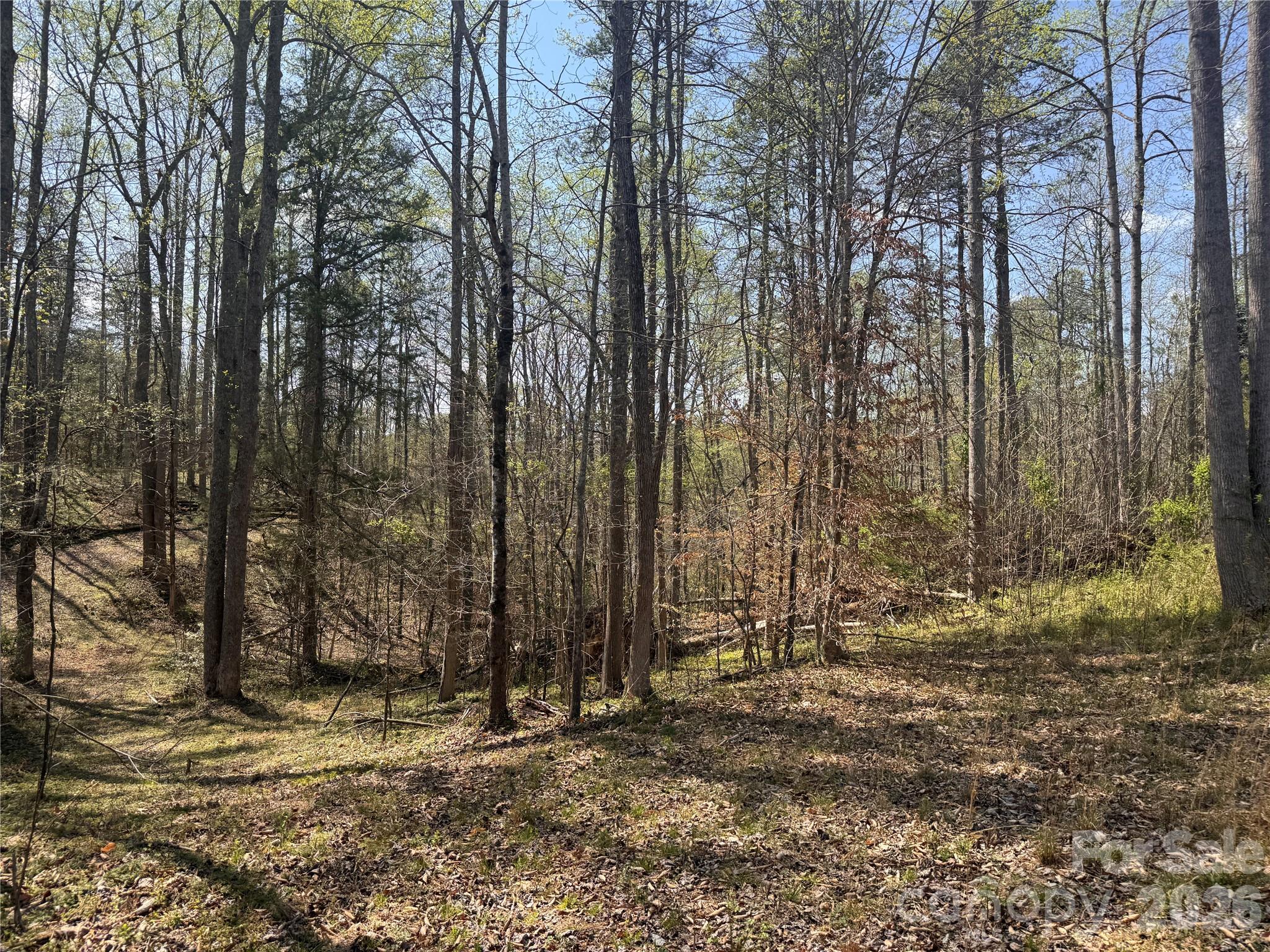 150-4 Thamon Road Shelby, NC 28150 - Photo 17 of 23