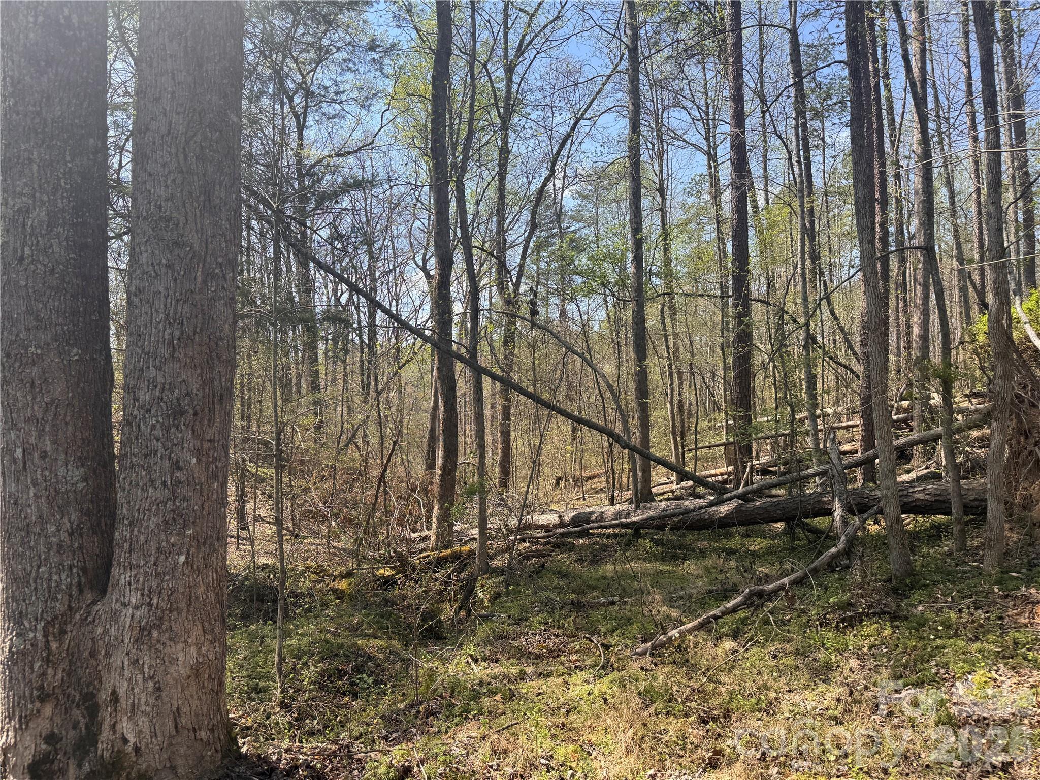 150-4 Thamon Road Shelby, NC 28150 - Photo 18 of 23