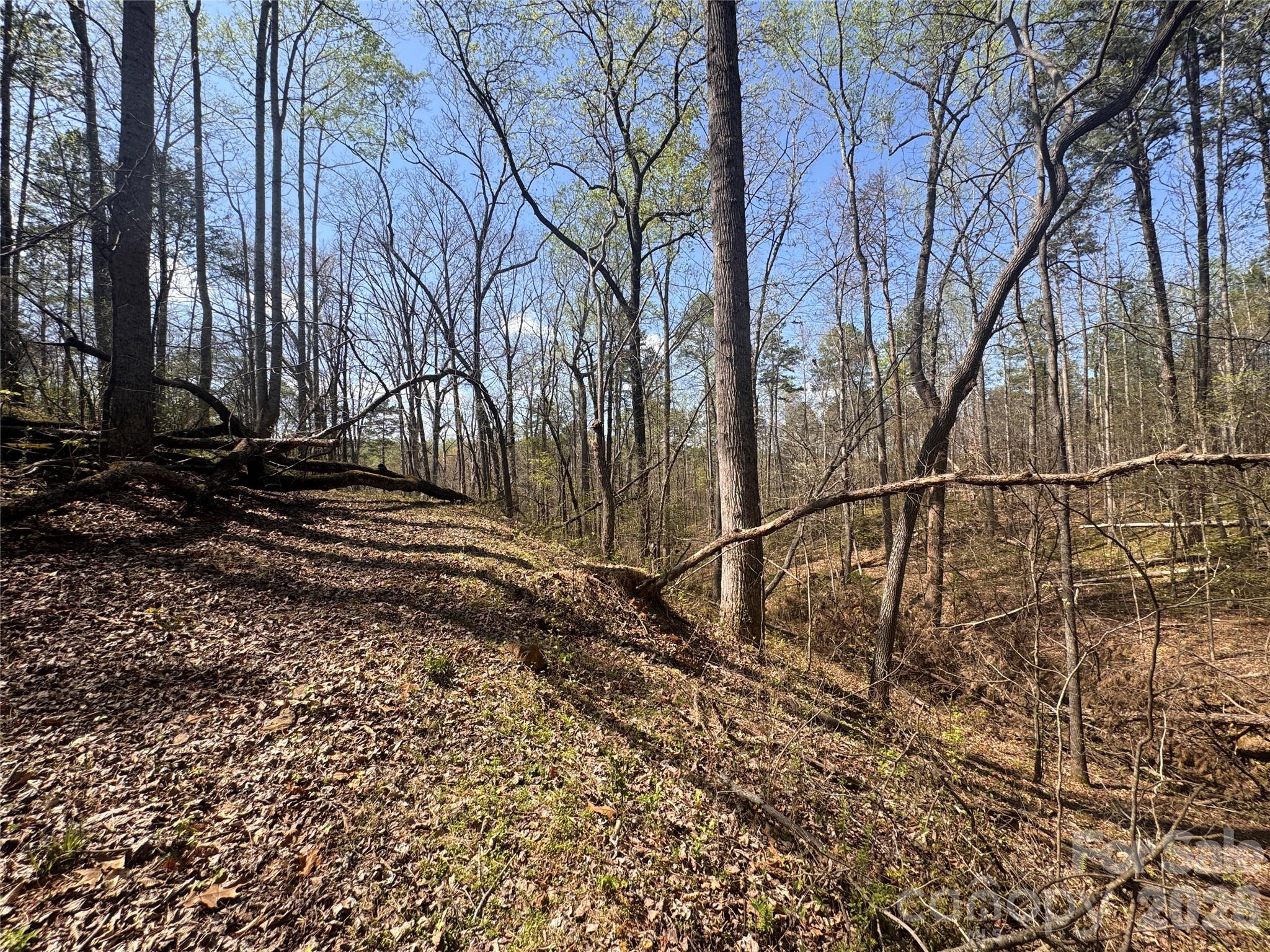 150-4 Thamon Road Shelby, NC 28150 - Photo 19 of 23