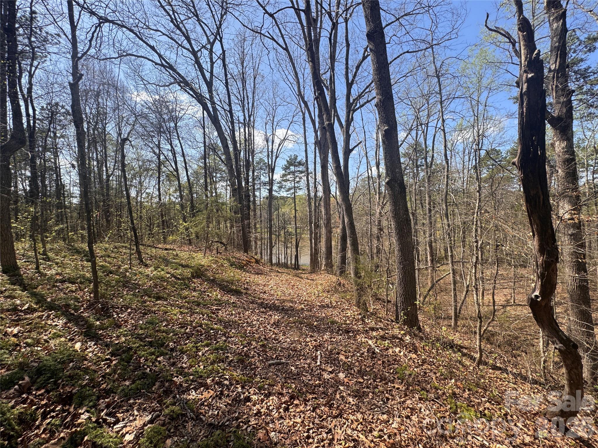 150-4 Thamon Road Shelby, NC 28150 - Photo 21 of 23