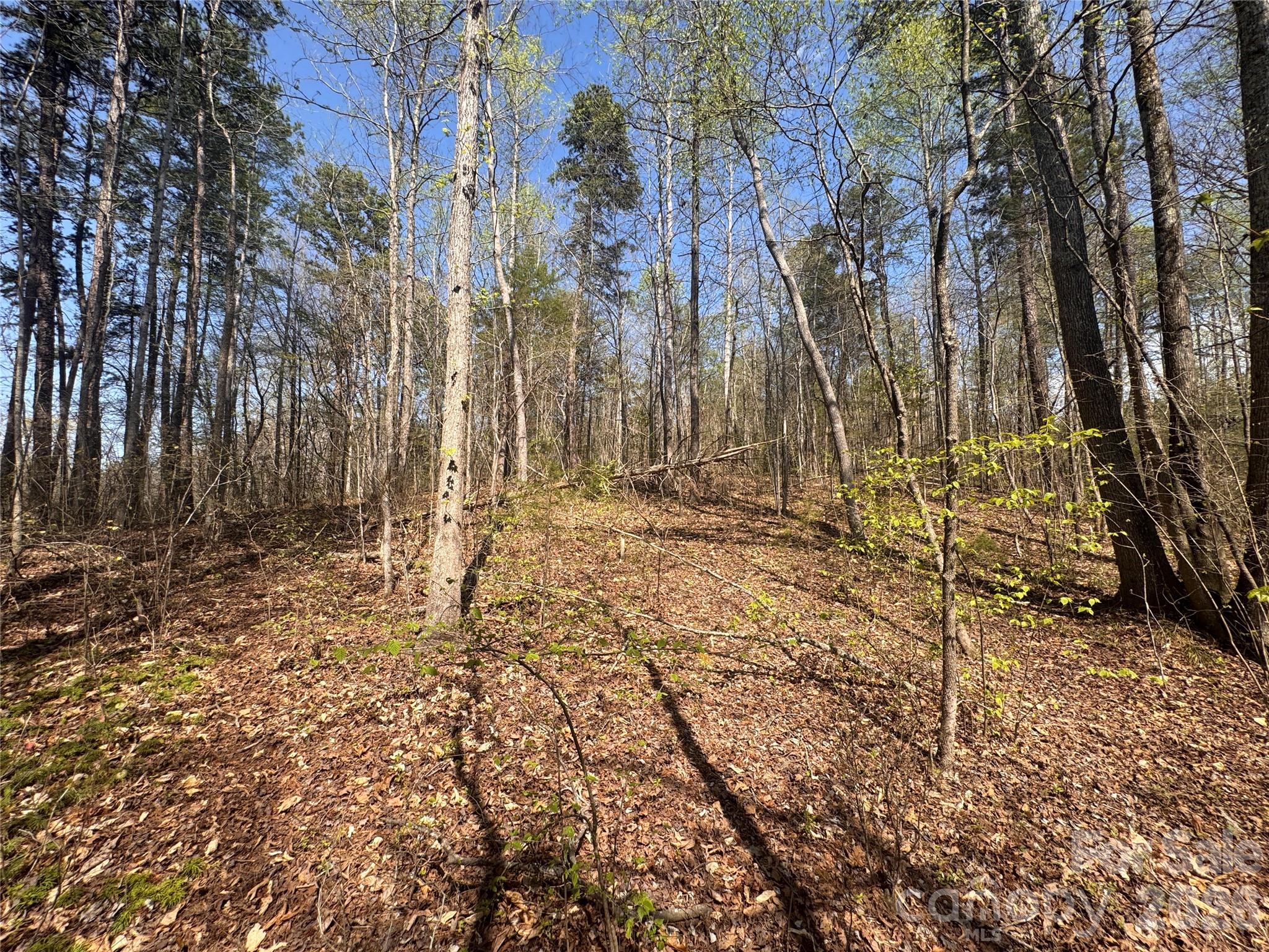 150-4 Thamon Road Shelby, NC 28150 - Photo 23 of 23