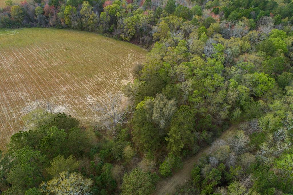 0 Coleman Road Dixie, GA 31629 - Photo 1 of 14 Gallery Image 1